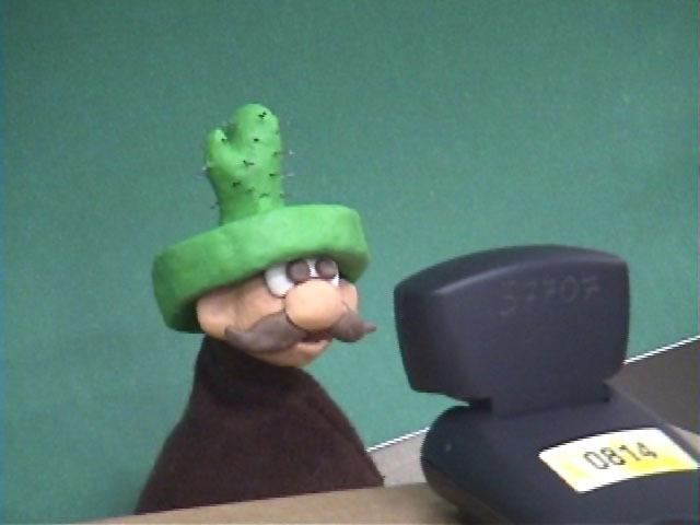 Amparo_Socorro_Diadema_00001