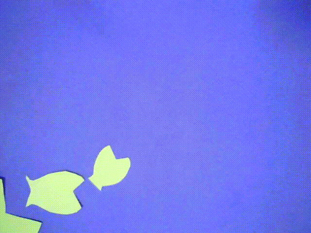 Amparo_Socorro_Diadema_00001